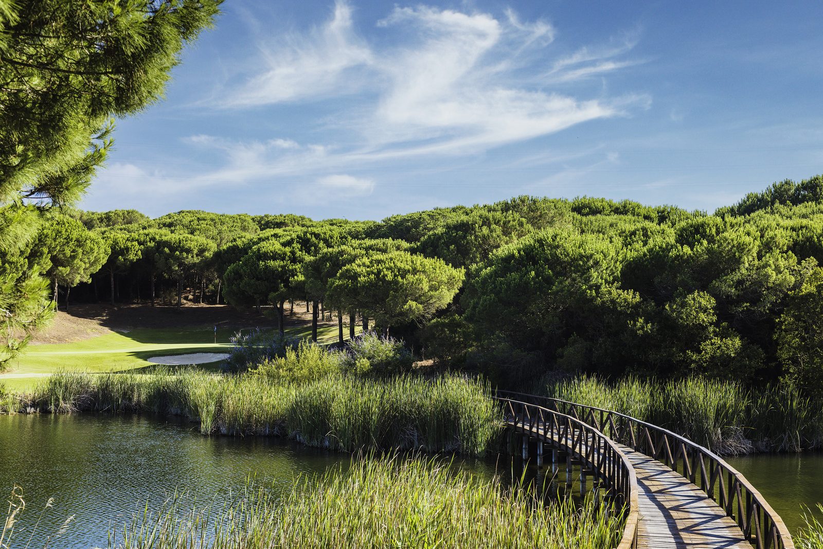 Golf course at SO/ Sotogrande
